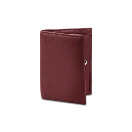 Pocket Coin Wallet