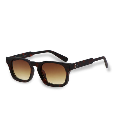Tim Sunglasses - Turtle